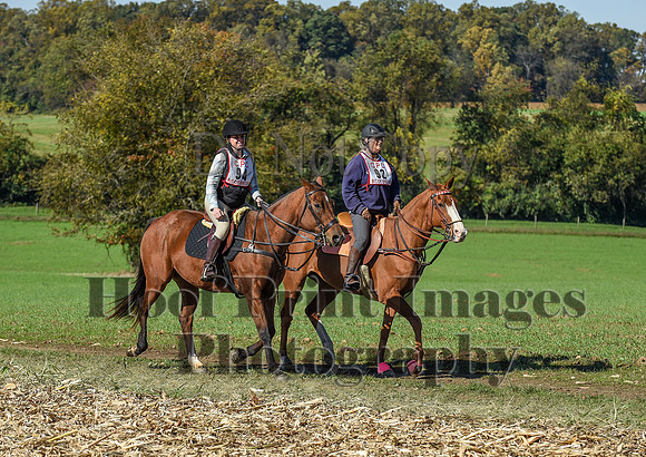 CheshirePC(10-18-20)0434
