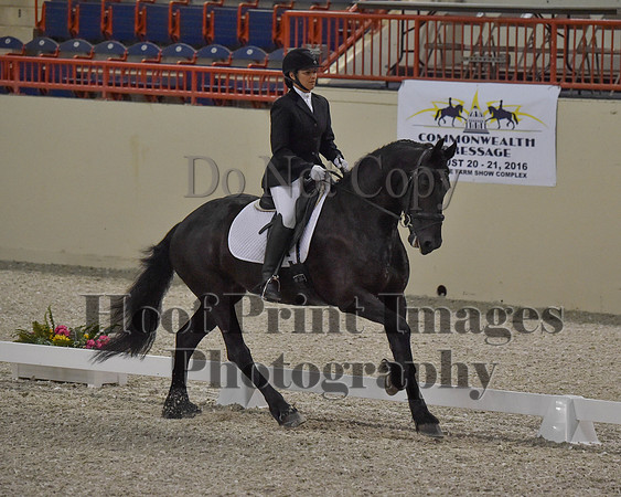 CWdressageII(8-21-16)1243