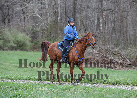 ChesapeakeSpring(4-10-22)0261