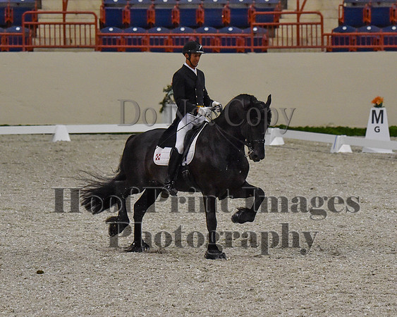 CWdressageII(8-21-16)0601