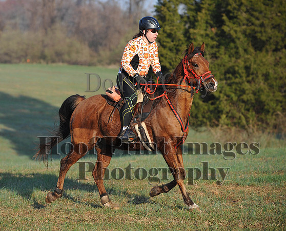 Foxcatcher(4-12-14)0532