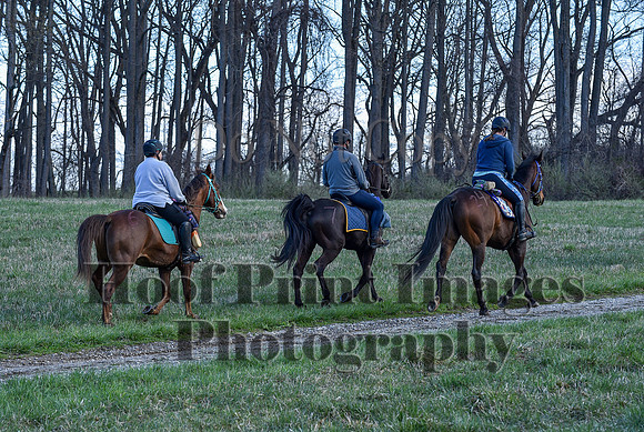 ChesapeakeSpring(4-10-22)0398