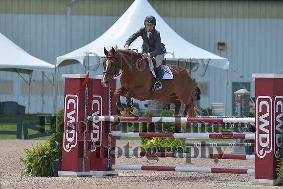BRSa(5-17-14)HChAdJ0267