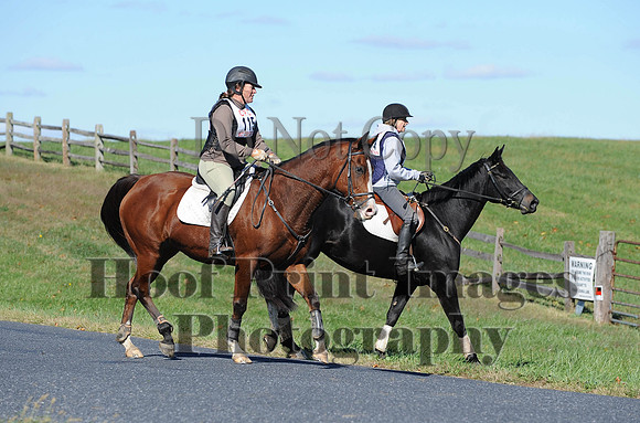 Cheshire(10-19-14)0153