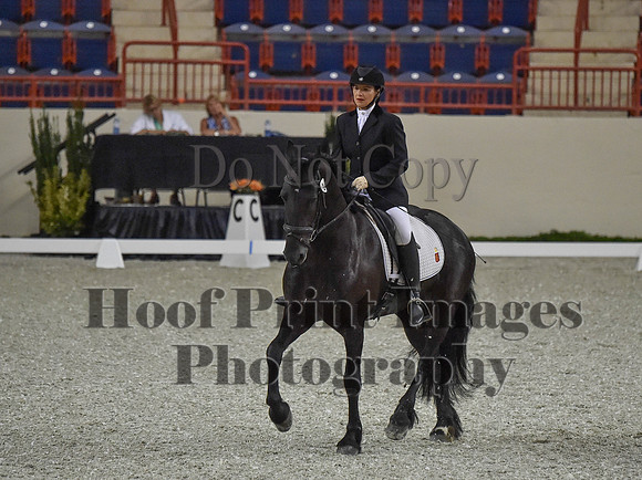 CWdressageI(8-20-16)0081