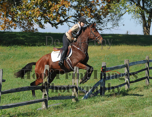 Cheshire(10-20-13)0103