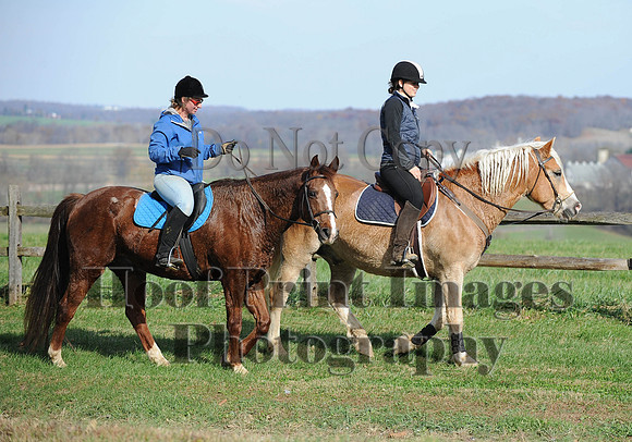 AndrewsBr(11-9-14)0358