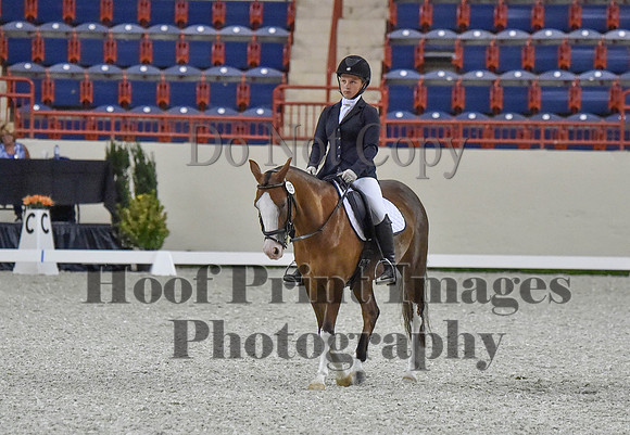 CWdressageI(8-20-16)0579