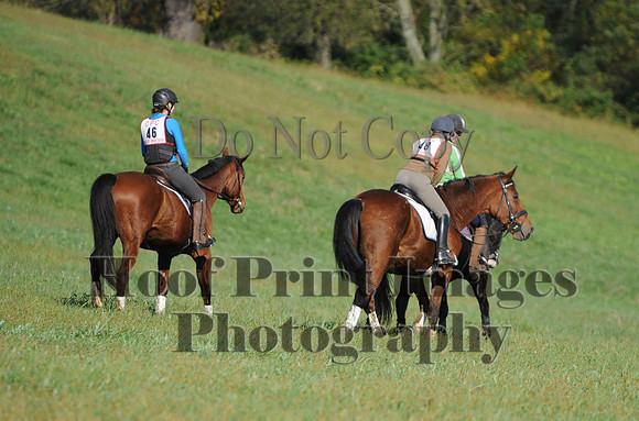 Cheshire(10-20-13)0735