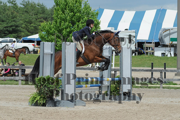 BRSa(5-17-14)0.8mJCl0060