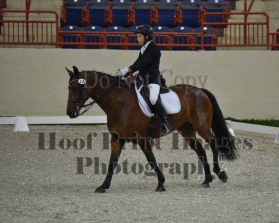 CWdressageII(8-21-16)1624