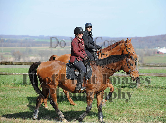 AndrewsBr(11-9-14)0242