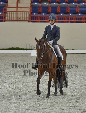 CWdressageI(8-20-16)0336