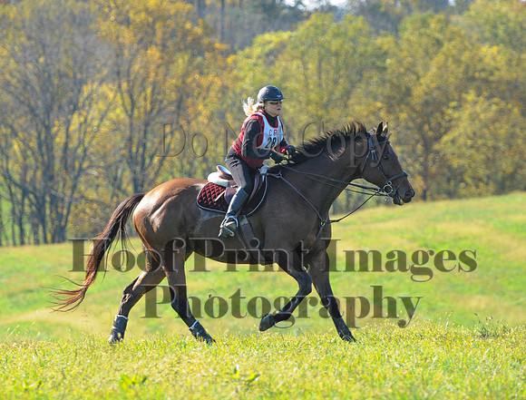 Cheshire(10-20-13)0705