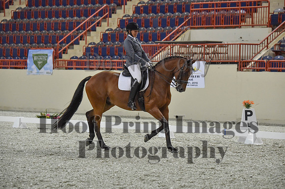 CWdressageI(8-20-16)1163