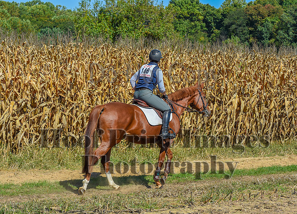 CheshirePonyClubPC(10-6-24)0658