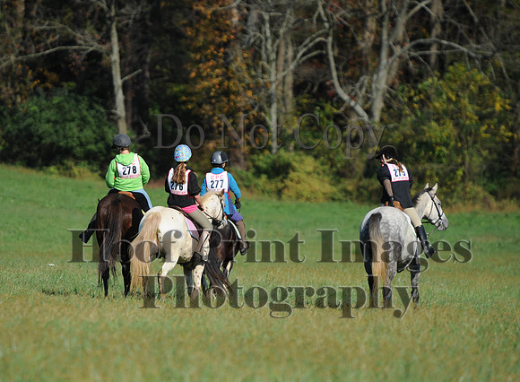 Cheshire(10-20-13)0702