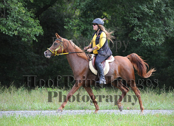 ChesapeakeCTR(9-20-14)0129