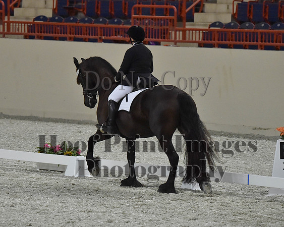 CWdressageII(8-21-16)2168