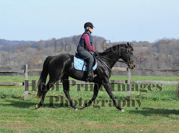 AndrewsBr(11-9-14)0278