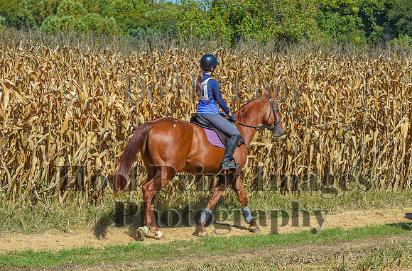 CheshirePonyClubPC(10-6-24)0659