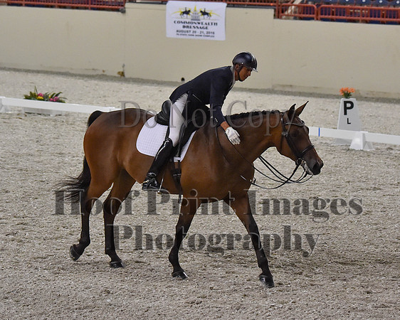CWdressageII(8-21-16)2302