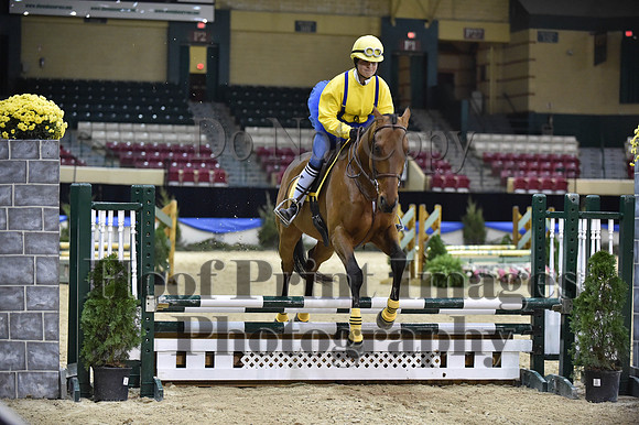 MidAtEqFest(11-14-15)1764