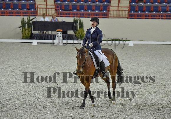 CWdressageI(8-20-16)0259