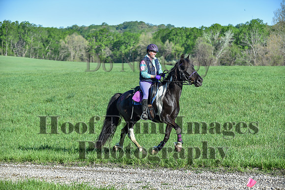 ChesapeakeSpring(4-27-25)0212