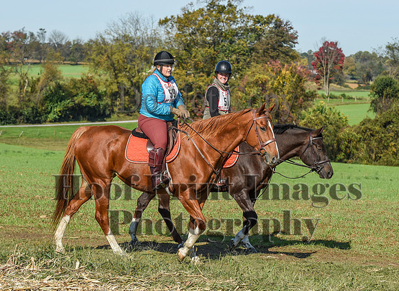 CheshirePC(10-18-20)0206