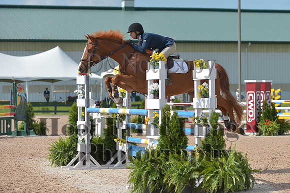 BRSa(5-17-14)HChAdJ0059