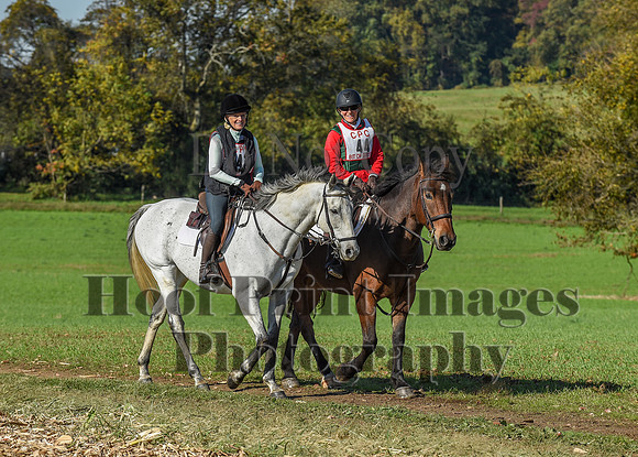 CheshirePC(10-18-20)0216