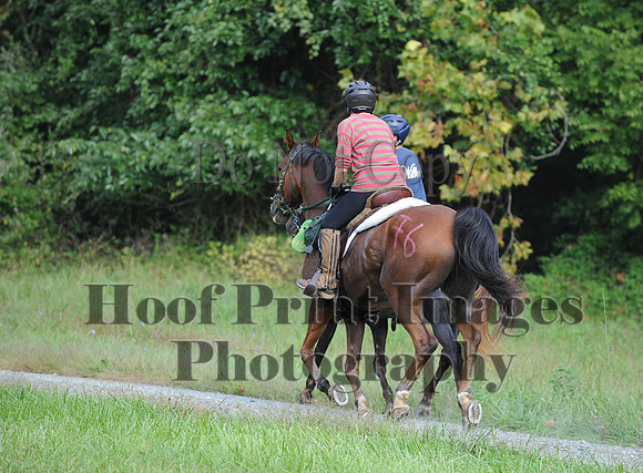 ChesapeakeCTR(9-20-14)0143