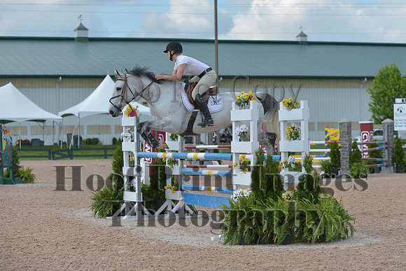 BRSa(5-17-14)HChAdJ0087