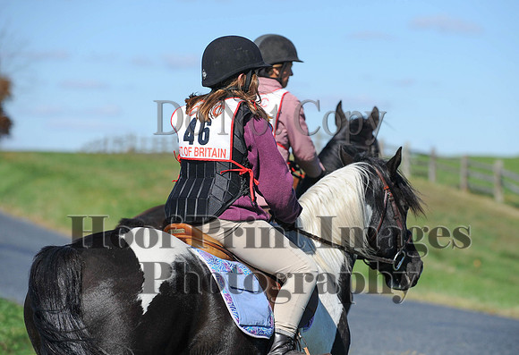 Cheshire(10-19-14)0134
