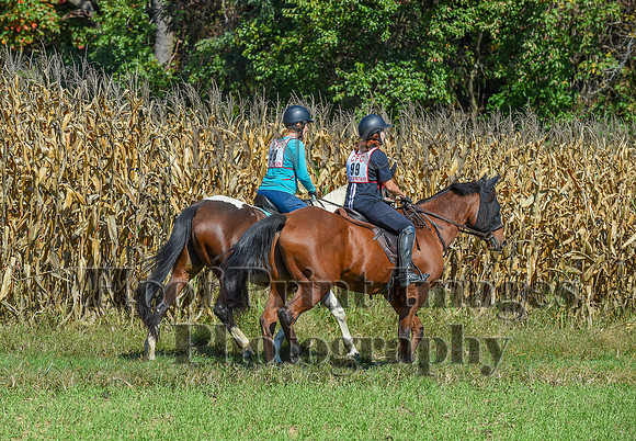 CheshirePonyClubPC(10-6-24)0614