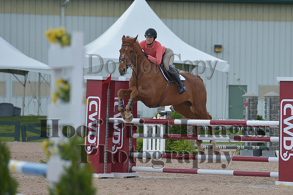 BRSa(5-17-14)HChAdJ0180
