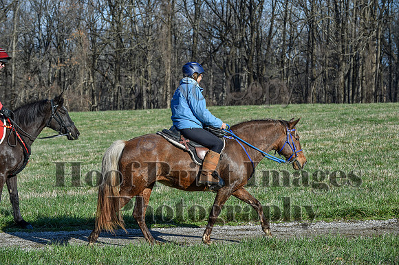 ChesapeakeSpring(4-10-22)0441