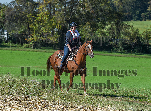 CheshirePC(10-18-20)0525