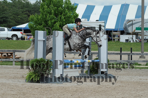 BRSa(5-17-14)0.8mJCl0082