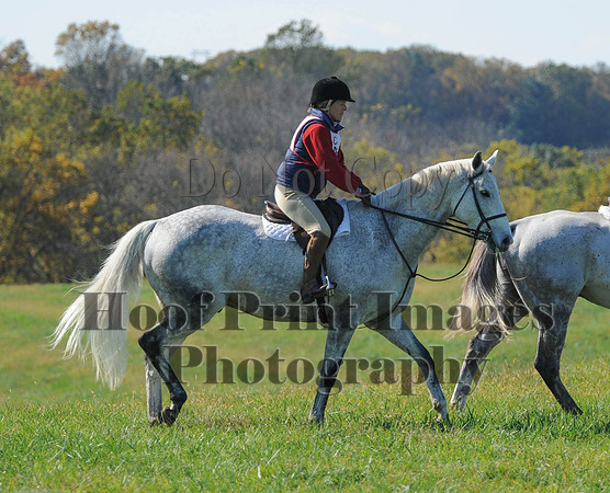 Cheshire(10-20-13)0472