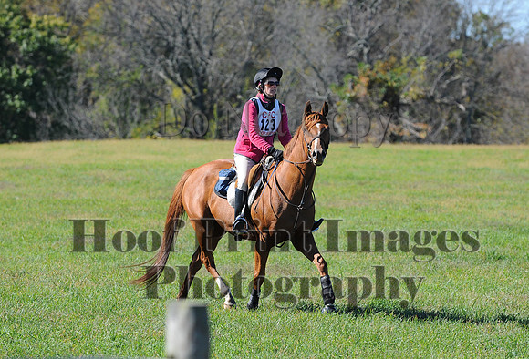 Cheshire(10-19-14)0139