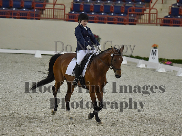 CWdressageI(8-20-16)0383