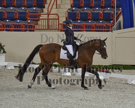 CWdressageII(8-21-16)0421