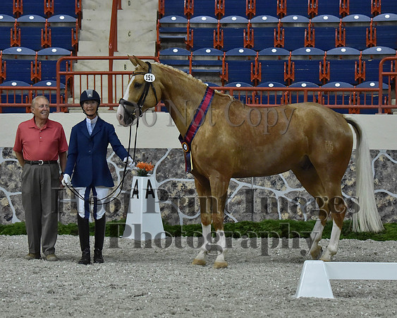 CWdressageII(8-21-16)1435