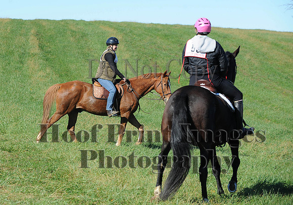 Cheshire(10-19-14)0443