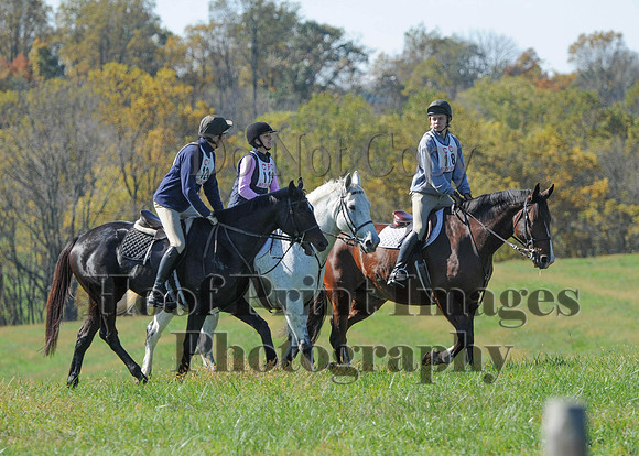 Cheshire(10-20-13)0169