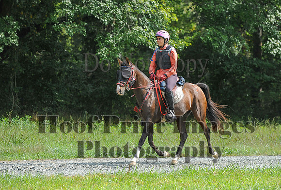 ChesapeakeCTR(9-20-14)0546