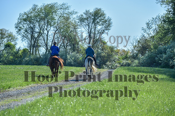 ChesapeakeSpring(4-27-25)0285