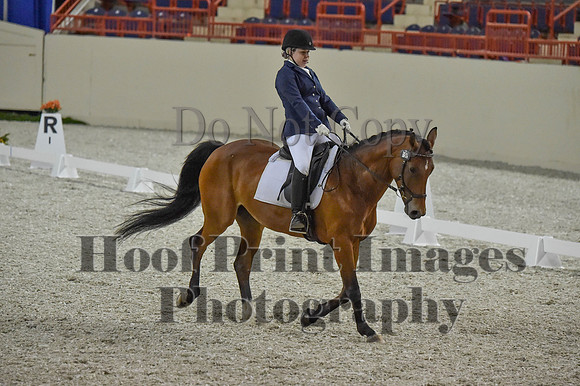 CWdressageI(8-20-16)0387